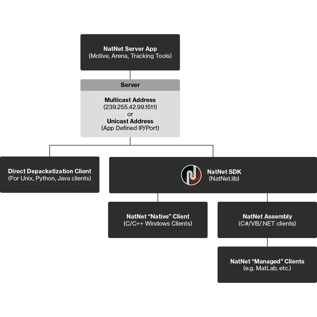 NatNet data